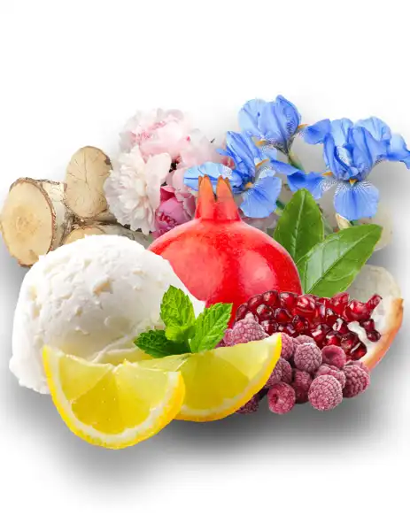 Lemon Pomegranate Clean Fragrance - Clean Fragrances